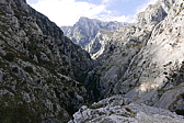 p1100463.jpg