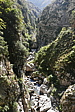p1100474.jpg