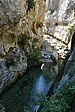 p1100478.jpg