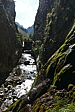 p1100480.jpg