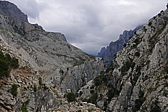 p1100501.jpg