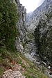 p1100511.jpg