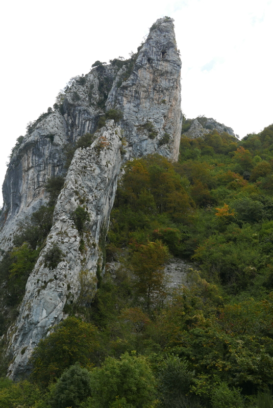p1100518.jpg
