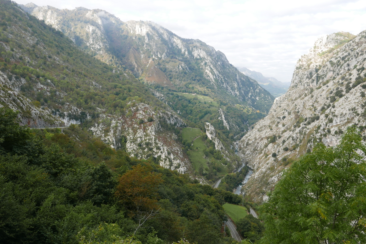 p1100519.jpg