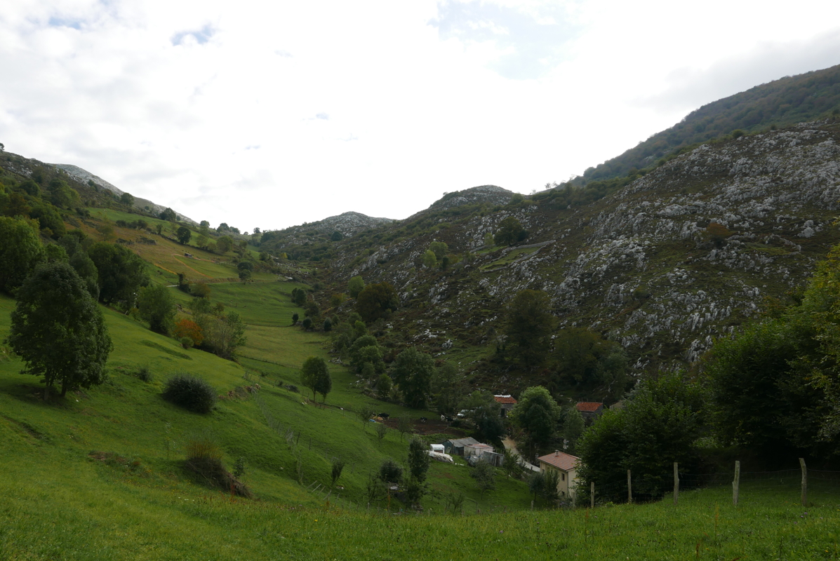 p1100520.jpg