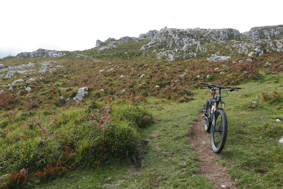 p1100525.jpg