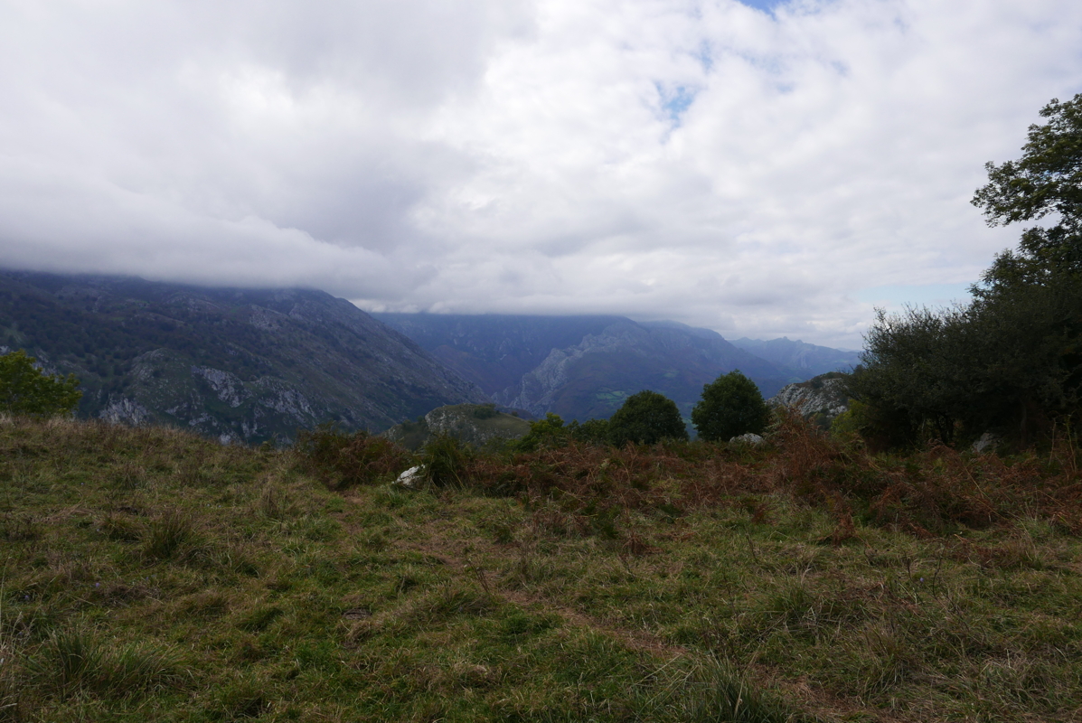 p1100535.jpg