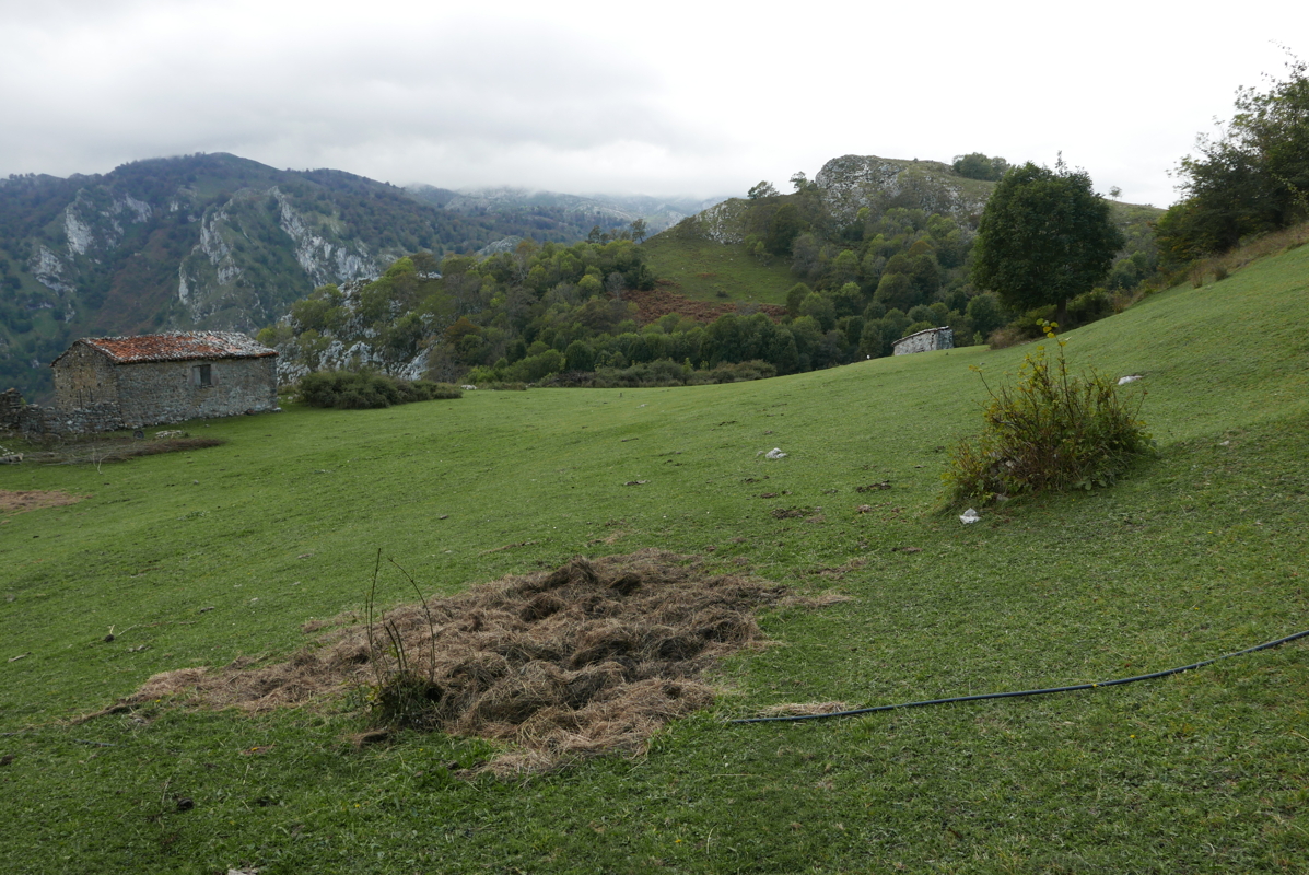 p1100537.jpg