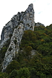 p1100518.jpg
