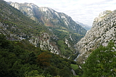 p1100519.jpg