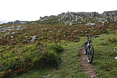 p1100525.jpg
