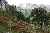 p1100527.jpg
