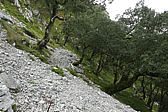 p1100529.jpg