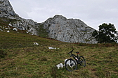 p1100534.jpg