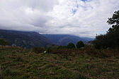 p1100535.jpg