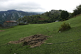 p1100537.jpg