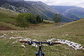 p1100539.jpg