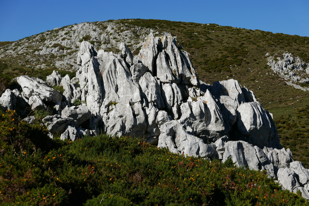 p1100569.jpg