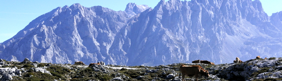 Streifen