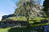 p1100545.jpg