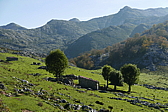 p1100549.jpg