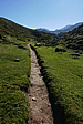 p1100553.jpg