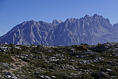 p1100558.jpg