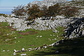 p1100566.jpg
