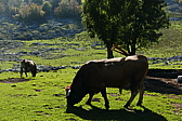 p1100568.jpg