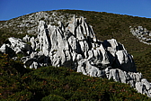 p1100569.jpg