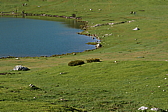 p1100572.jpg