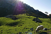 p1100576.jpg