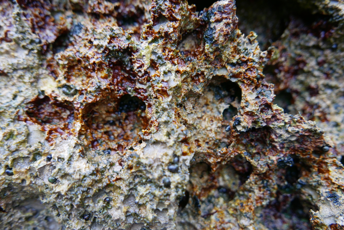 p1100624.jpg
