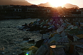 p1100595.jpg
