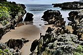 p1100622.jpg