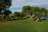 p1100630.jpg