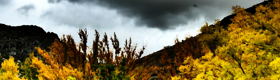 Streifen