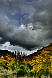 p1100697.jpg
