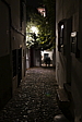 p1100802.jpg