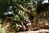 p1100813.jpg