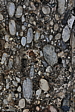 p1100819.jpg