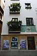 p1100828.jpg