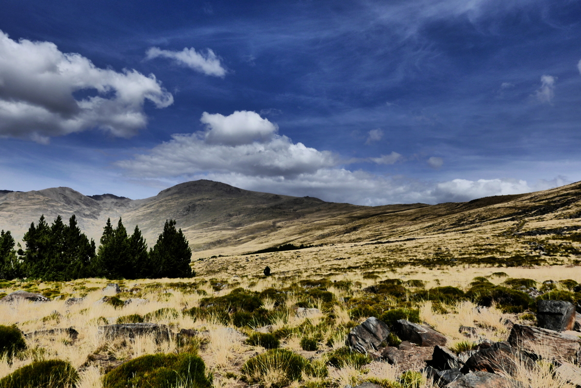 p1100856.jpg