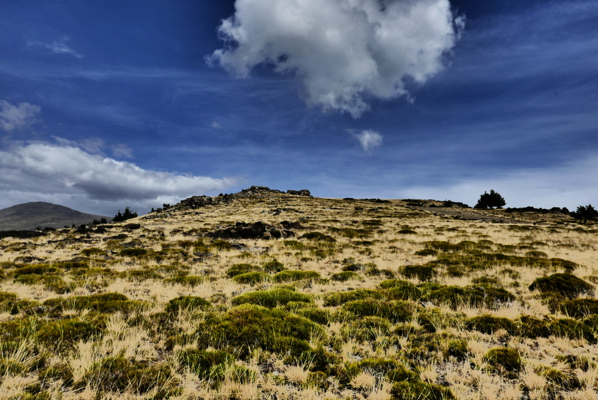 p1100858.jpg