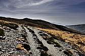 p1100853.jpg