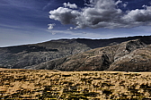 p1100854.jpg