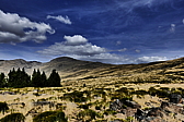 p1100856.jpg