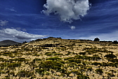 p1100858.jpg