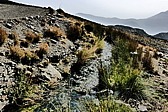 p1100859.jpg