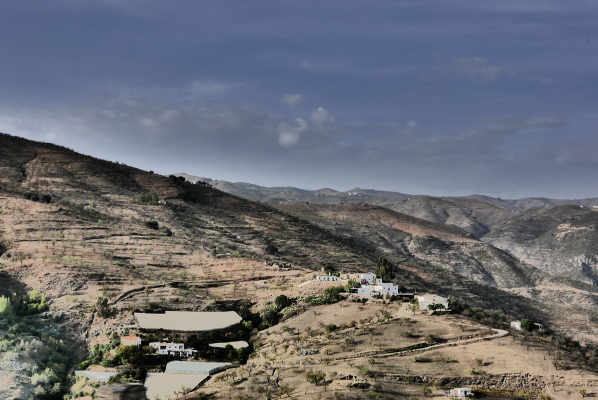 p1100863.jpg